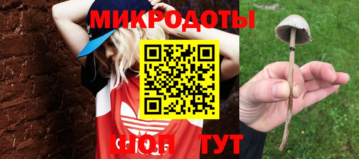 Галлюциногенные грибы MAGIC MUSHROOMS Сосновоборск