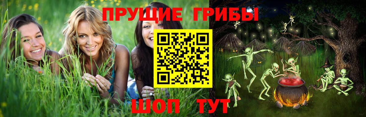 наркошоп  Галлюциногенные грибы GOLDEN TEACHER  Псилоцибиновые грибы мухоморы  Вход с VPN  Сосновоборск 